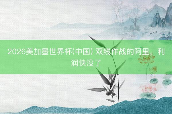 2026美加墨世界杯(中国) 双线作战的阿里，利润快没了