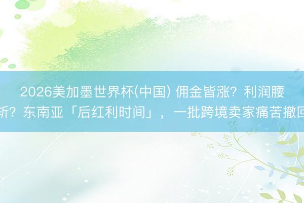 2026美加墨世界杯(中国) 佣金皆涨？利润腰斩？东南亚「后红利时间」，一批跨境卖家痛苦撤回