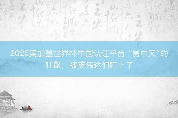 2026美加墨世界杯中国认证平台 “易中天”的狂飙，被英伟达们盯上了