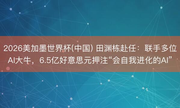 2026美加墨世界杯(中国) 田渊栋赴任：联手多位AI大牛，6.5亿好意思元押注“会自我进化的AI”