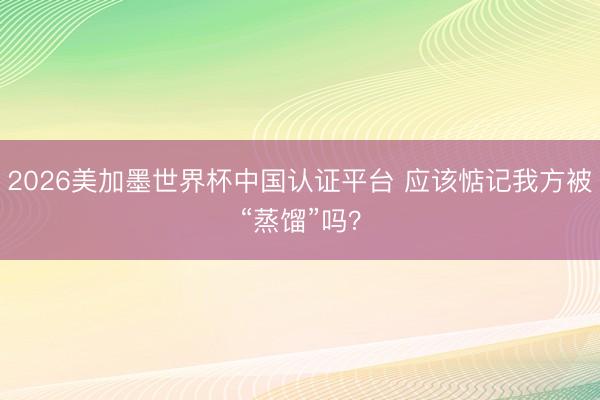 2026美加墨世界杯中国认证平台 应该惦记我方被“蒸馏”吗？