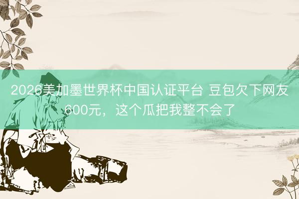 2026美加墨世界杯中国认证平台 豆包欠下网友600元，这个瓜把我整不会了
