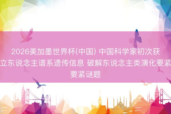 2026美加墨世界杯(中国) 中国科学家初次获取站立东说念主谱系遗传信息 破解东说念主类演化要紧谜题