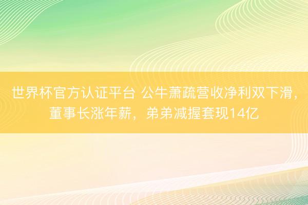 世界杯官方认证平台 公牛萧疏营收净利双下滑，董事长涨年薪，弟弟减握套现14亿