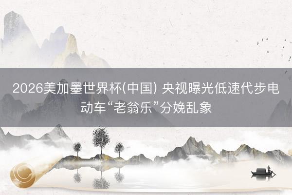 2026美加墨世界杯(中国) 央视曝光低速代步电动车“老翁乐”分娩乱象