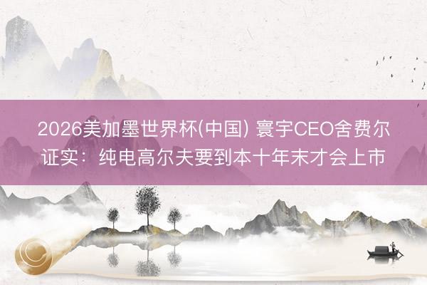 2026美加墨世界杯(中国) 寰宇CEO舍费尔证实：纯电高尔夫要到本十年末才会上市