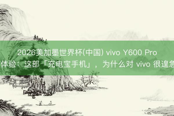 2026美加墨世界杯(中国) vivo Y600 Pro 体验：这部「充电宝手机」，为什么对 vivo 很遑急
