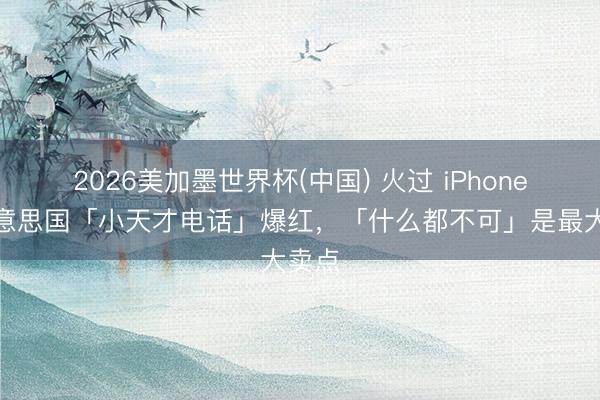 2026美加墨世界杯(中国) 火过 iPhone？好意思国「小天才电话」爆红，「什么都不可」是最大卖点