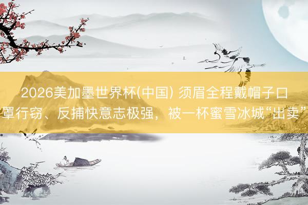 2026美加墨世界杯(中国) 须眉全程戴帽子口罩行窃、反捕快意志极强，被一杯蜜雪冰城“出卖”