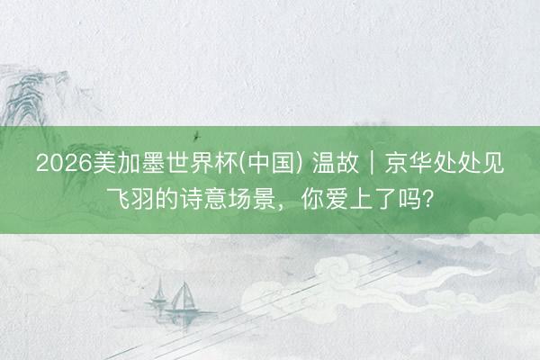2026美加墨世界杯(中国) 温故｜京华处处见飞羽的诗意场景，你爱上了吗？
