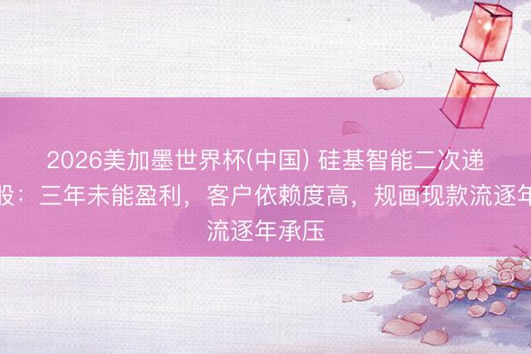 2026美加墨世界杯(中国) 硅基智能二次递表港股：三年未能盈利，客户依赖度高，规画现款流逐年承压