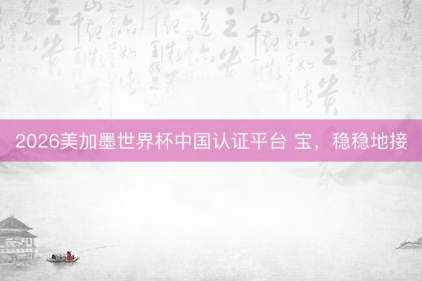 2026美加墨世界杯中国认证平台 宝，稳稳地接