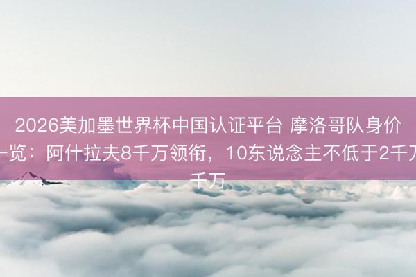 2026美加墨世界杯中国认证平台 摩洛哥队身价一