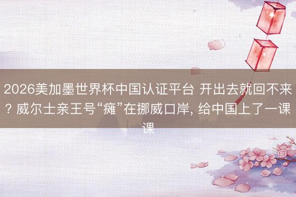 2026美加墨世界杯中国认证平台 开出去就回不来? 威尔士亲王号“瘫”在挪威口岸, 给中国上了一课