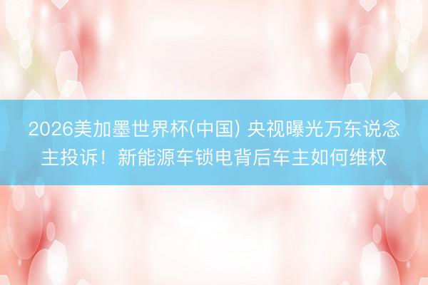 2026美加墨世界杯(中国) 央视曝光万东说念主投诉！新能源车锁电背后车主如何维权