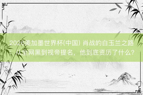 2026美加墨世界杯(中国) 肖战的白玉兰之路：从全网黑到视帝提名，他到底资历了什么？