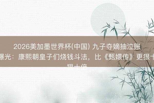 2026美加墨世界杯(中国) 九子夺嫡抽泣账本曝光:康熙朝皇子们烧钱斗法,比《甄嬛传》更狠十倍