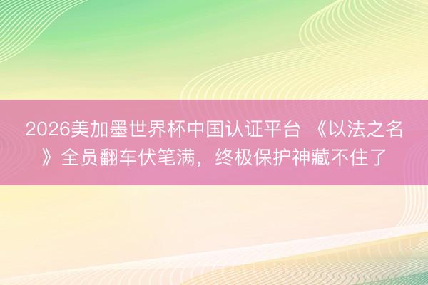 2026美加墨世界杯中国认证平台 《以法之名》全员翻车伏笔满，终极保护神藏不住了