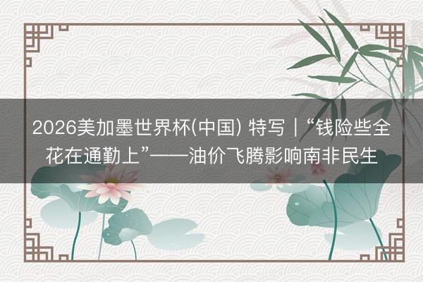 2026美加墨世界杯(中国) 特写|“钱险些全花在通勤上”——油价飞腾影响南非民生
