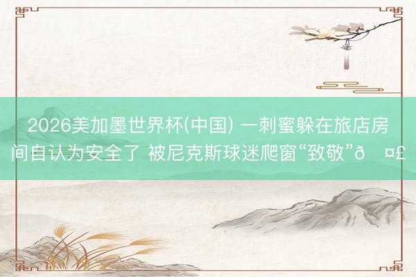 2026美加墨世界杯(中国) 一刺蜜躲在旅店房间自认为安全了 被尼克斯球迷爬窗“致敬”🤣