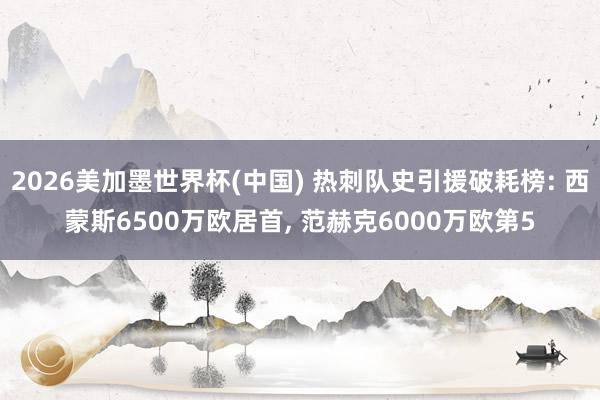 2026美加墨世界杯(中国) 热刺队史引援破耗榜: 西蒙斯6500万欧居首, 范赫克6000万欧第5
