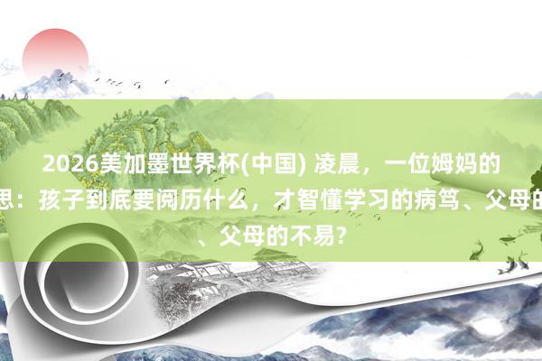 2026美加墨世界杯(中国) 凌晨，一位姆妈的3个反思：孩子到底要阅历什么，才智懂学习的病笃、父母的不易?